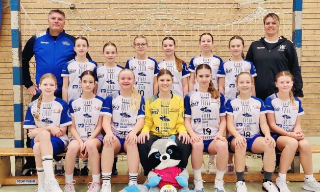 Sieg der D-Mädchen im Spitzenspiel